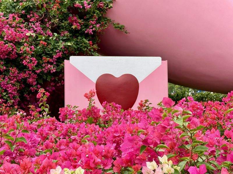 心の和株式会社 - Image 6